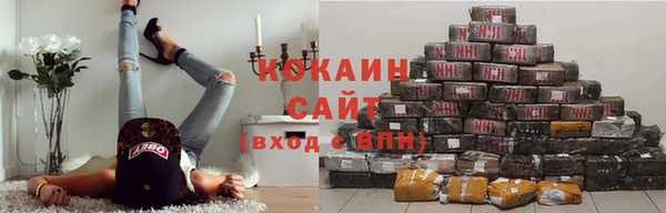 тгк Алексин