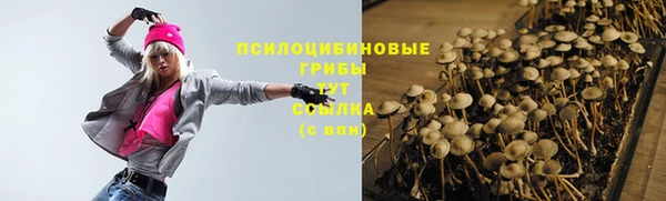тгк Алексин