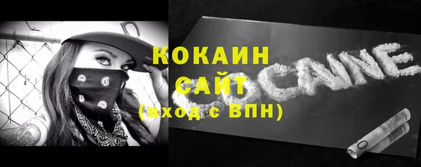 тгк Алексин