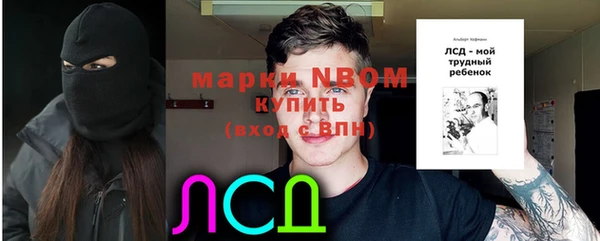гашик Алексеевка