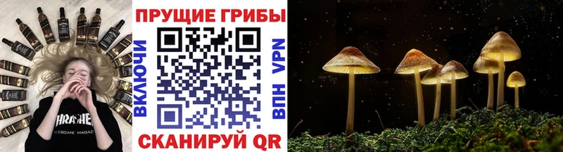 Галлюциногенные грибы Magic Shrooms  Десногорск 